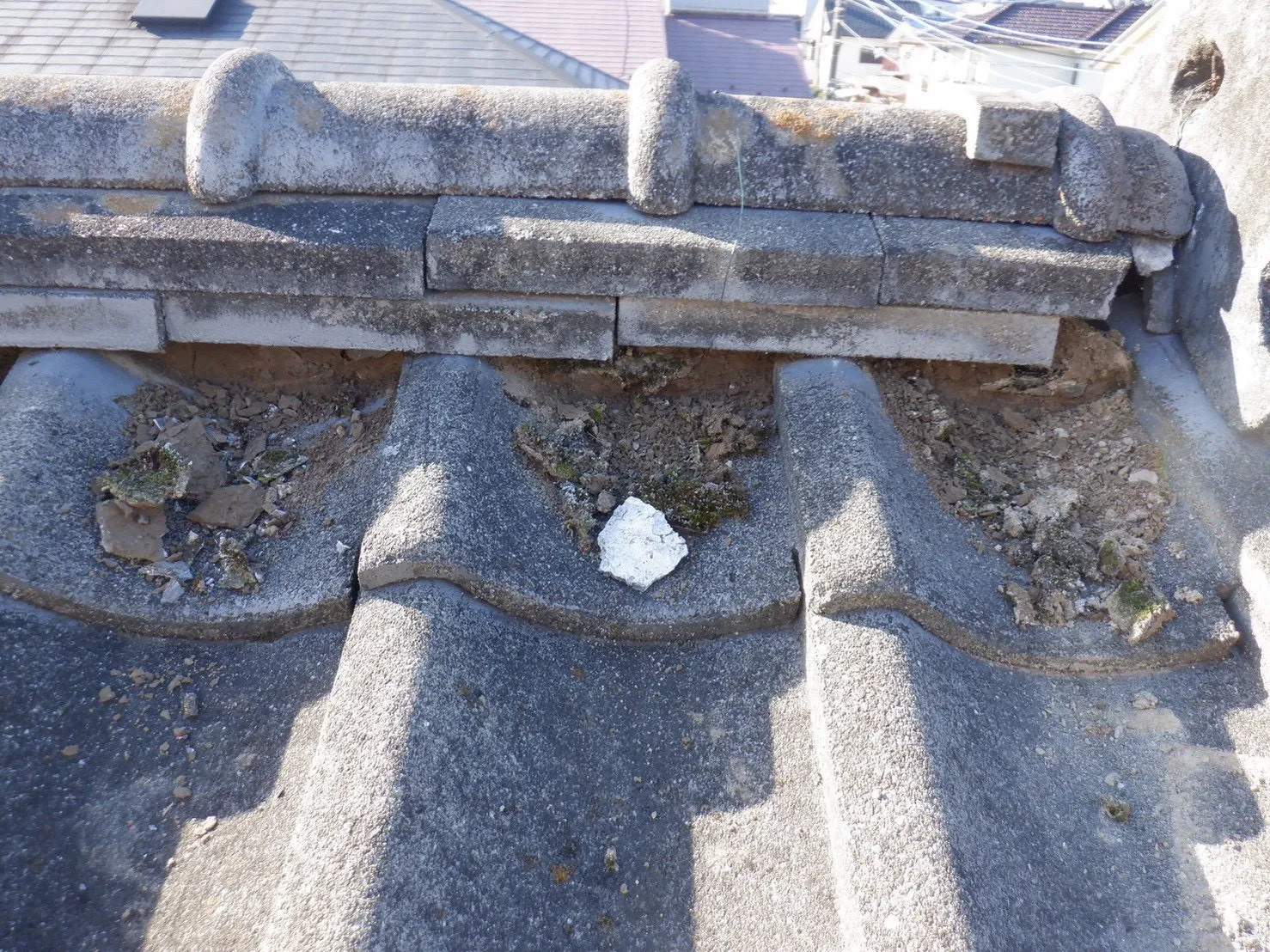 瓦屋根の棟で漆喰が失われ内部の土が広く露出した状態