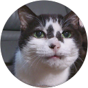 もぐ profile picture